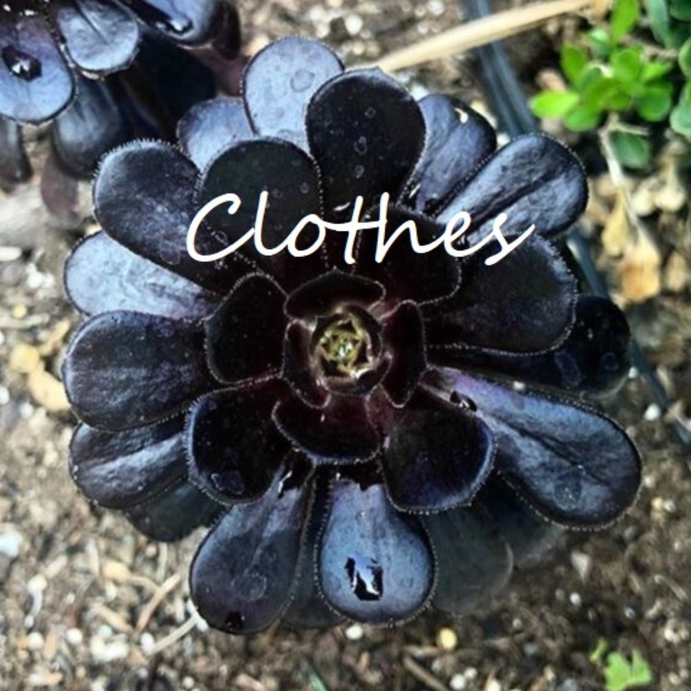 Clothes